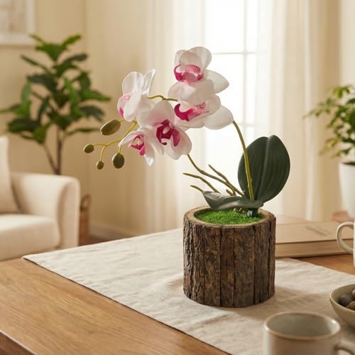 Image of Dekorly Artificial Orchid Flower Plant with Decorative Pot | 1 Stick Faux Orchid Plant | 20 cm Tall Indoor Tabletop Decor for Home, Living Room, Office Desk, Shelf, Hotel & Gift Decoration (White)