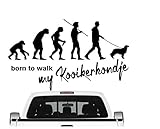 evolution farbe cena DAS WIRD DEIN NEUER LIEBLINGSAUFKLEBER. ...passend zu Hundesport - Schutzdienst - Schutzhund - Hundeplatz