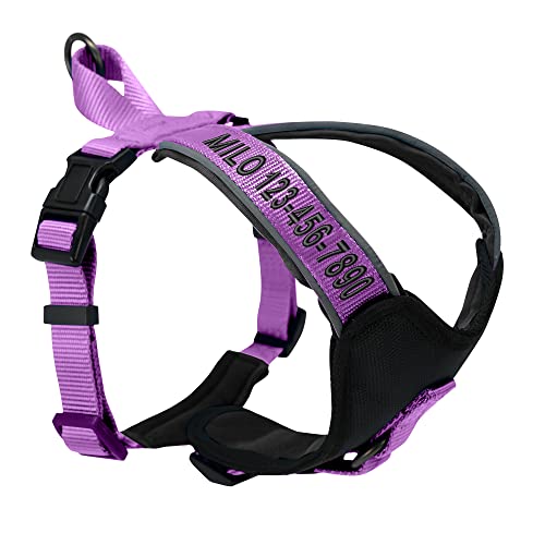 Pawtitas Reflective Padded Dog Harness for Large Dogs – Adjustable Step-in Vest | Fits Chest 27–33 in | No Pull Personalized Training Harness | L | Orchid