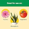 Miracle-Gro Shake 'N Feed All Purpose Plant Food - Outdoor and Indoor Plant Food for In-Ground and Containers, Feeds for up to 3 Months, 1 lb.