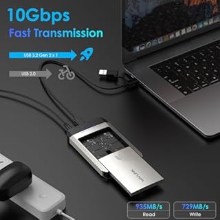 WAVLINK NVMe Cloner, M.2 Cloner Dual-Bay Offline Clone Tool-Free, 10Gbps M.2 Duplicator Supporta SATA a NVMe e NVMe a SATA, Dual NVMe Enclosure per SSD PCIe Dimensioni 2230/2242/2260/2280, fino a 8TB