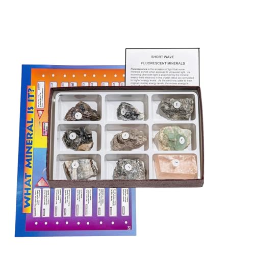 GSC International 2381 Rocks & Minerals Short Wave Fluorescent Minerals – 9 Specimens for Earth Science...