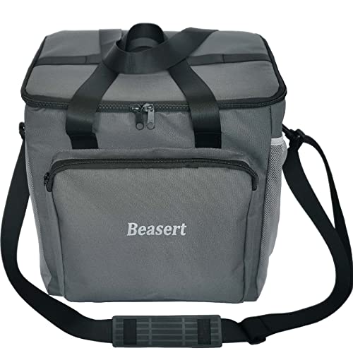 Isolierte Lunchtasche für Damen und Herren, 10 l Thermo-Kühltasche, auslaufsicher, weich, für Camping, Picknick, Strand, Reisen, Büro, Arbeit, Geschenk Cover