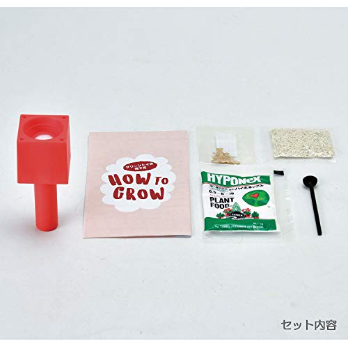 聖新陶芸 栽培キット グリーントイ 四季なりいちご GD-93502 ピンク 2枚目