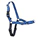 Premier PetSafe Easy Walk Harness Royal Blue/Navy (XLarge)