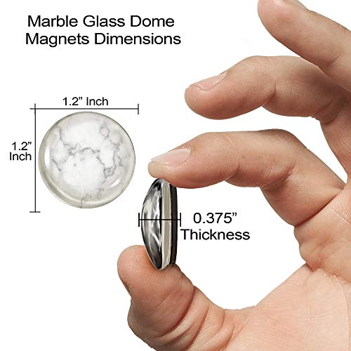 image for Brothers Bench Black & White Granite Fridge Magnets, 12 Pcs Round Glas