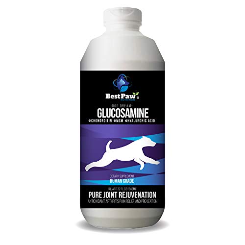 5 Best Glucosamine Supplements For Dogs Buyer’s Guide & Reviews