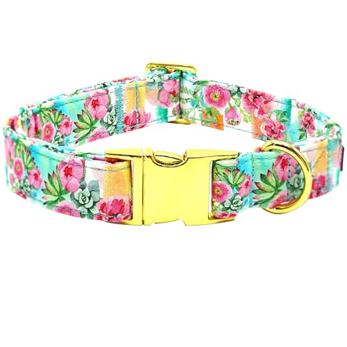 Bobo C{[ hbOJ[A킢t[vg ybgJ[ vȃ^J[ \tghbOJ[ ߉\Ȍp ^p