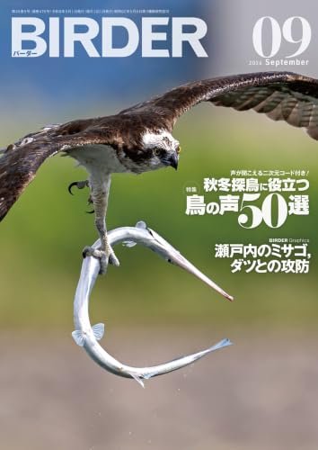 BIRDER（バーダー）2026年9月号　秋冬探鳥に役立つ、鳥の声50選