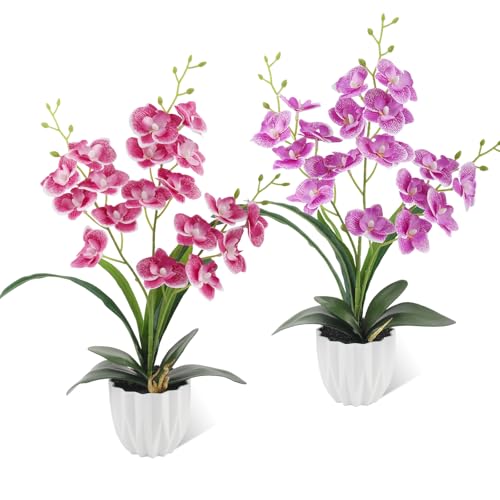 LEIMEND 2 Pièces Orchidees Artificielles Orchidée Artificielle Rose Violet Orchidée Phalaenopsis Fleur Artificielle pour Tables à Manger Les Bureaux Les...