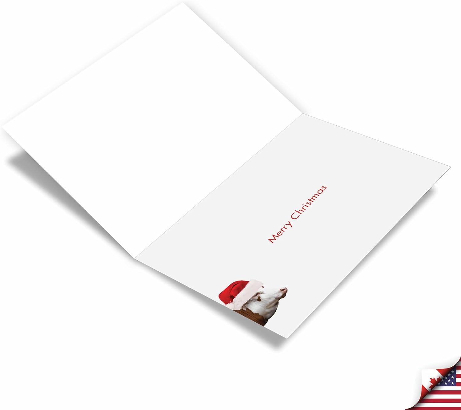 The Best Card Company - 12 Boxed Christmas Cards with Envelopes - Adorable Holiday Animals, Fun Notecard Set (1 Design, 12 Cards) - Bovine Nirvana Headstand B6545DXSG