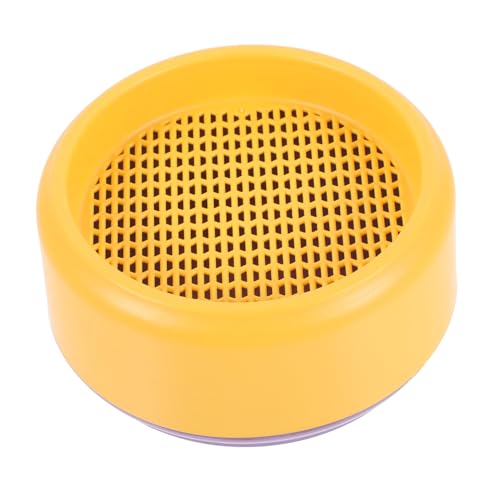 BESPORTBLE Cassetta Per Piantare Erba Gatta Vaso Idroponico Senza Terra Per Uso Domestico Fioriera Per Piante Per Gatti Vassoio Contenente Acqua Realizzata in Plastica Pratica e Affidabile De