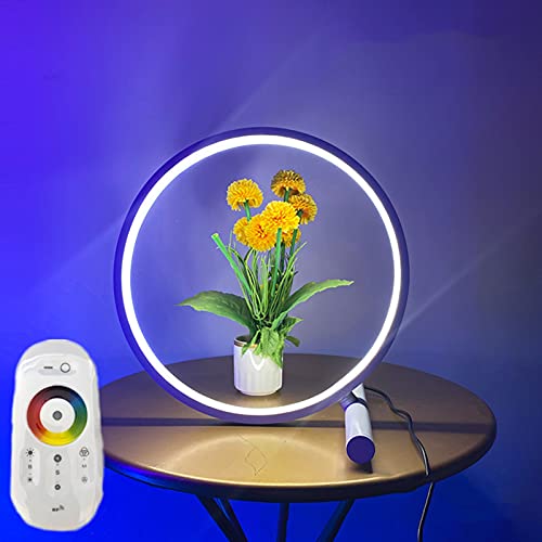 WODQYAZ Dimmbare LED Tischlampe Aus Aluminium, RGB-Ring Stimmungslicht Schalter Wandleuchte 3000K-6000K, Schreibtischlampen für Wohnzimmer, Schlafzimmer Und Kinderzimmer Deko Cover