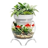 Kcgani 3 Gallon PET Aquaponic Betta Fish Tank Aquaponic with Base and Top, Large Bowl Shatterproof Aquarium Fish Tank with Clear Clarity for Terrarium, Flower Vase Centerpiece Present for Fish Lovers