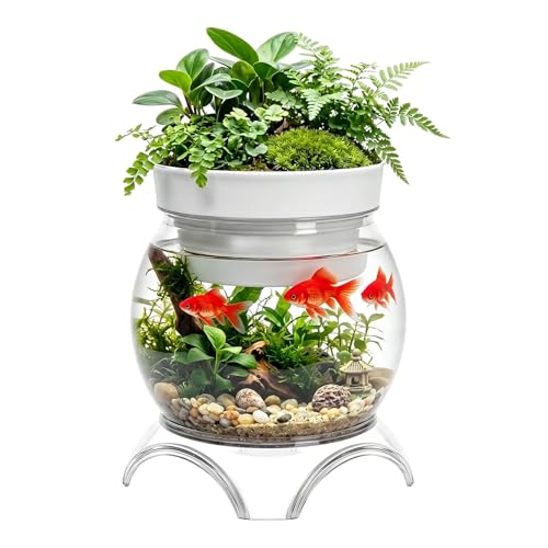 Kcgani 3 Gallon PET Aquaponic Betta Fish Tank Aquaponic with Base and Top Large Bowl Shatterproof Aquarium Fish Tank with Clear Clarity for Terrarium Flower Vase Centerpiece Present for Fish Lovers