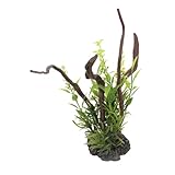 Plantes d'aquarium de poissons tropicaux - pas faciles à décolorer, ce décor d'aquarium reste même dans l'eau pendant une longue période, réaliste et durable, décor de récif de .