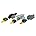 Mallard Duck (Gray, Gray, Brown)