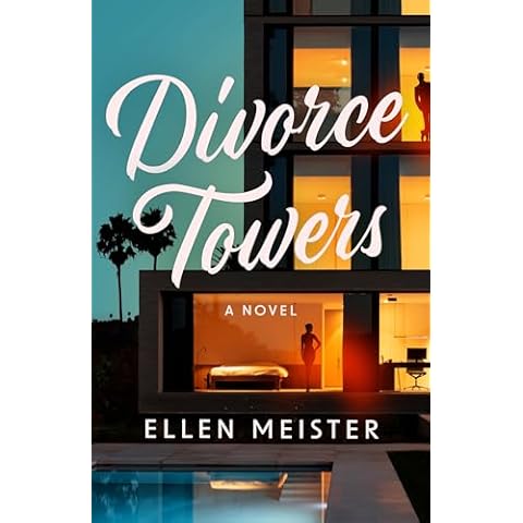 Divorce Towers: A Novel Cover
