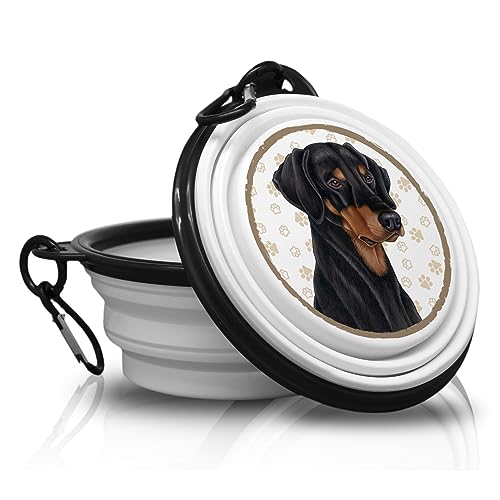 Dobermann - Gamelle Pliable Portable avec Mousqueton pour Les déplacements Gamelle pour Animaux domestiques Pratique et Unique.