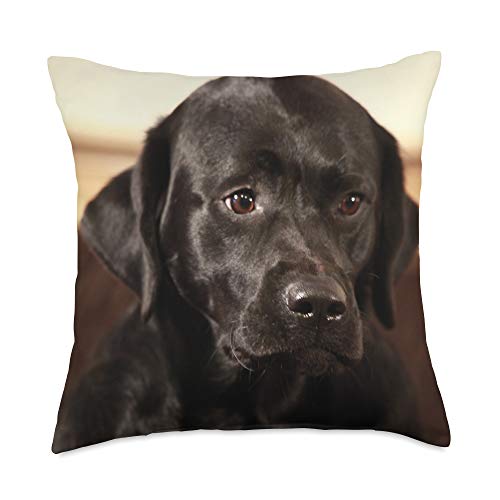 labrador gift ideas
