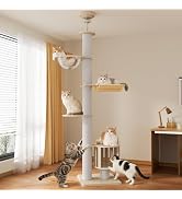 Amazon | [ChicKone] キャットタワー 突っ張り ネコタワー 木製 スリム