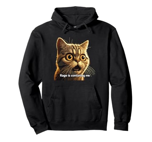 Rage Is Consuming Me Meme Cat Meme Curieusement Specific Memes Joke Sweat à Capuche