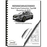  SEAT Cupra Formentor (20>) Standheizung Zusatzheizung Reparaturanleitung