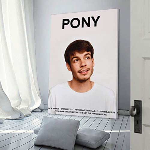 Poster Rex Orange County PONY Toile Décoration Salon 50x75 cm