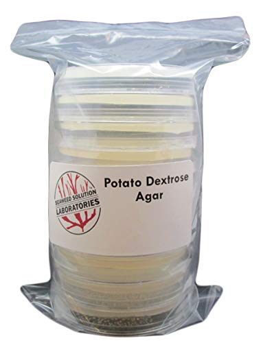 Potato Dextrose Agar PDA - Sterilized - 10, 100mm x 15mm Plates- Great For Growing Mushrooms