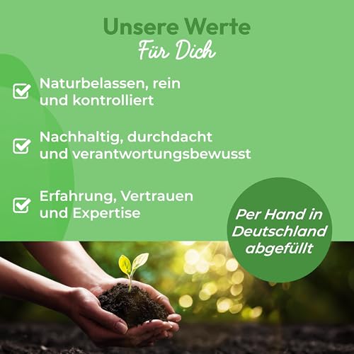 Curly Superfood Baobab Pulver Bio 500g - 100% naturreine BIO Rohkostqualität aus Afrika - Fein gemahlenes Bio Baobab Pulver für Smoothies, Säfte & Speisen