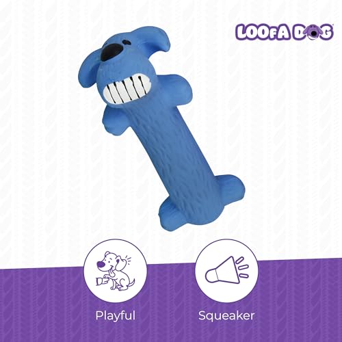 Multipet Original Loofa Latex Dog Toy - Squeaky Toy for All Dogs - Easy-to-Clean Squeaky Toys - Latex Dog Toys for Playing (1 Count, 6”, Random Color Surprise)