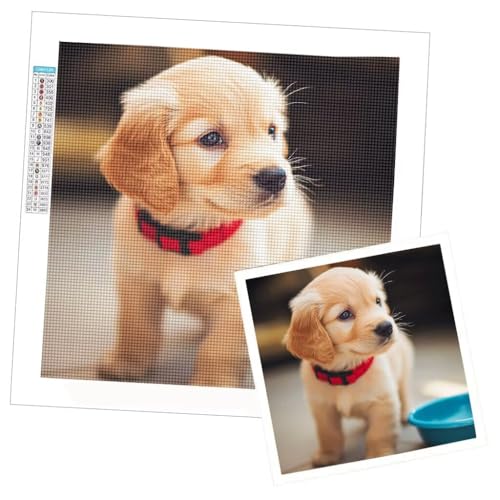 Diamond Painting Personnalisé 70x70cm : Kit Broderie Diamant Photo Complet