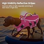 Dogcheer Dog Life Jacket with Double Rescue Handle, Reflective Dog Harness Life Vest for Swimming Boating, Adjustable Pet Swim Vest Puppy Flotation Device DFD for Small Medium Large Dogs - Pink XS - Image 5