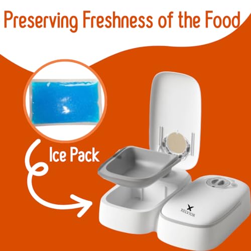 Automatic Cat Feeder with Ice Pack – 2-Meal Pet Feeder for Small Dogs – Dry and Wet Food Dispenser for Cats, 48-Hours Timer Automatic Cat Feeder with Ice Pack – 2-Meal Pet Feeder for Small Dogs – Dry and Wet Food Dispenser for Cats, 48-Hours Timer