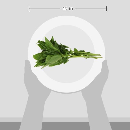 Produce Organic Basil, 0.75 Oz
