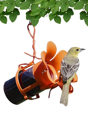Songbird Essentials Jelly Bird Feeder Oriole Feeder Easy to Fill with Jelly or Jam Plastic Jar Included. Fits Most 10-12 Ounce Jelly Jars