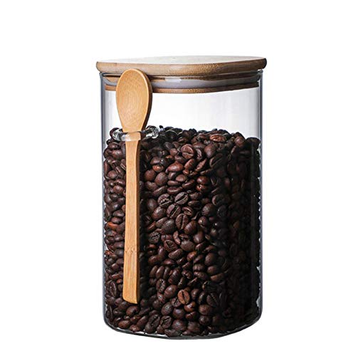 Top 10 Best Coffee Bean Storage Jar Reviews & Buying Guide Katynel