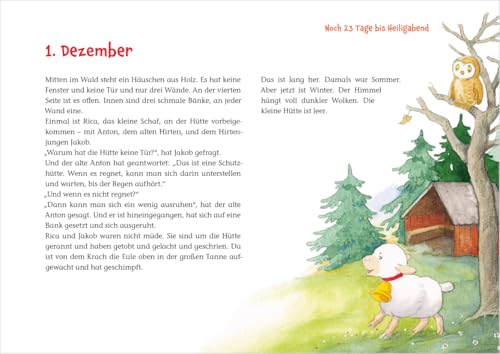 Rica erlebt die Waldweihnacht: Ein Adventskalender zum Vorlesen und Gestalten eines Fensterbildes (Adventskalender mit Geschichten für Kinder: Ein Buch zum Vorlesen und Basteln)