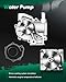 SCITOO Timing Belt Water Pump Oil Seals Kit Fits 2000-2006 2.5L Subaru Legacy Outback Baja Non-Turbo H4 SOHC EJ25 TBK307