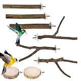 Kinberry Lot de 8 perchoirs pour oiseaux en bois naturel - Perchoirs ondulés - Support antidérapant en bois - Accessoires pour perruches, calopsittes, canaris