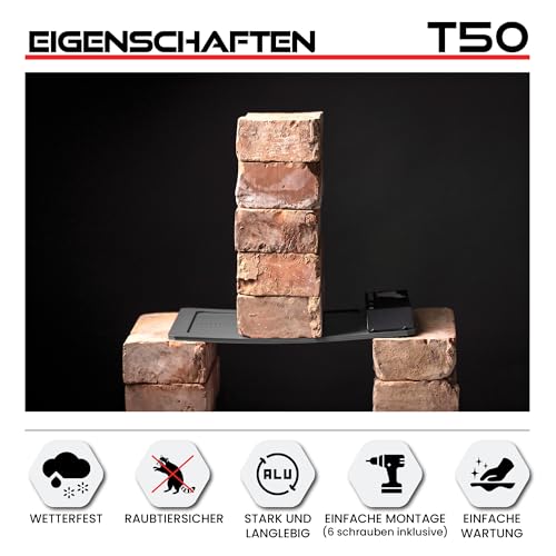 RUN-CHICKEN T50 Automatische Hühnerklappe, Grau – Aluminium, batteriebetrieben (2X AA), App-Steuerung, Lichtsensor & Timer mit Verzögerung, wetterfest – Hühnertür für Hühnerstall & Auslauf