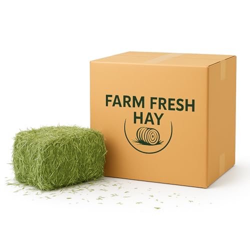 Hay Bale Bermuda