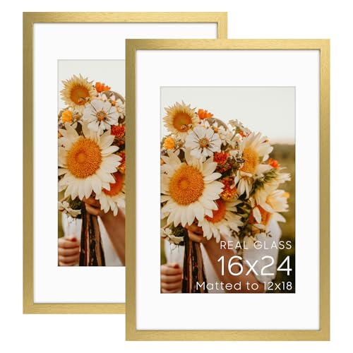 Golden State Art 2 Pack 16x24 Gold Picture Frame Mat for 12x18 Real Glass