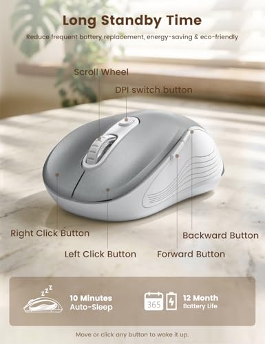 Image of WisFox 2.4G Wireless Mouse for Laptop, Ergonomic Computer Mouse with USB Receiver and Type-C Adapter, 3 Adjustable Levels DPI, 6 Button Cordless Wireless Mice (Silver)