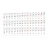 Aide à l'apprentissage parfaite pour les grands et les petits : facilite la pratique du piano ou du mini clavier, idéal pour le clavier pour les débutants et les enfants