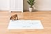 IRIS USA Neat 'n Dry Premium Pet Training Pads, Regular,  17.5