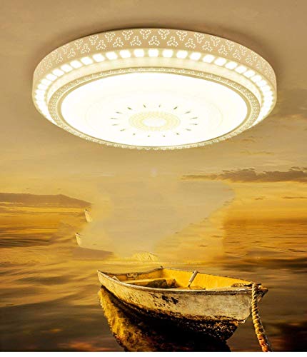 Lumière extérieure de plafond led 51cm étanche pour illuminer une terrasse