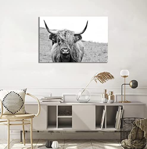 Black And White Framed Nature Prints Wall Art Animals Poster Large Highland Cow Vintage Canvas Artwork For Living Room Farmhouse Wall Decoration (20X30 Inch) #TOP1