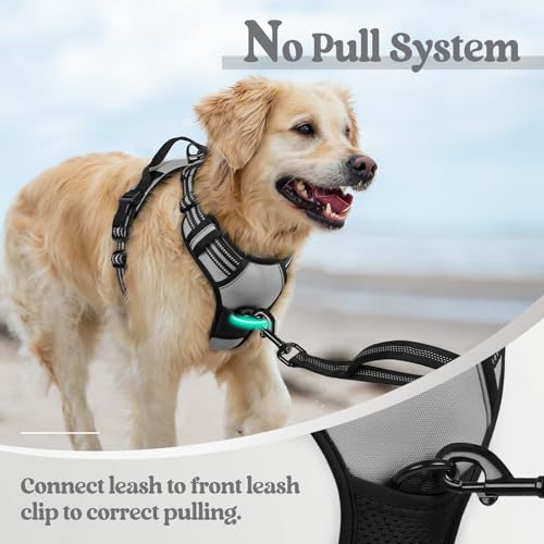 Image of rabbitgoo Dog Harness No Pull with 2 Leash Clips, Adjustable Soft Padded, Reflective Oxford No Choke Pet Vest with Easy Control Handle for Large Dogs, Grey, XL