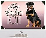 DekoDrom® Motiv Blechschild 20x30 cm mit 4 Magnete Hier wache ich Rottweiler Hund Haus Tier Warnschild Garten Dekoration Bar Kneipe Sammler